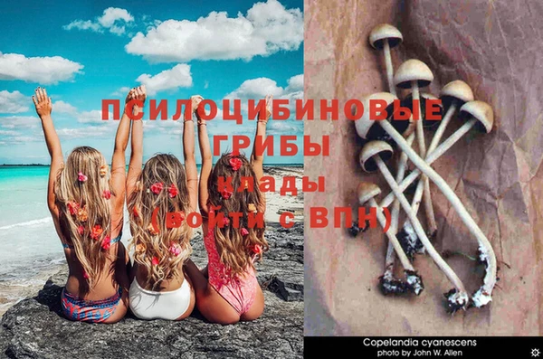 гашишное масло Краснослободск