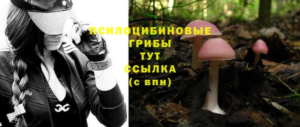 a pvp Куйбышев
